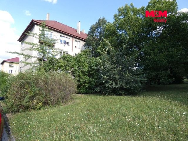 P1130425.jpg