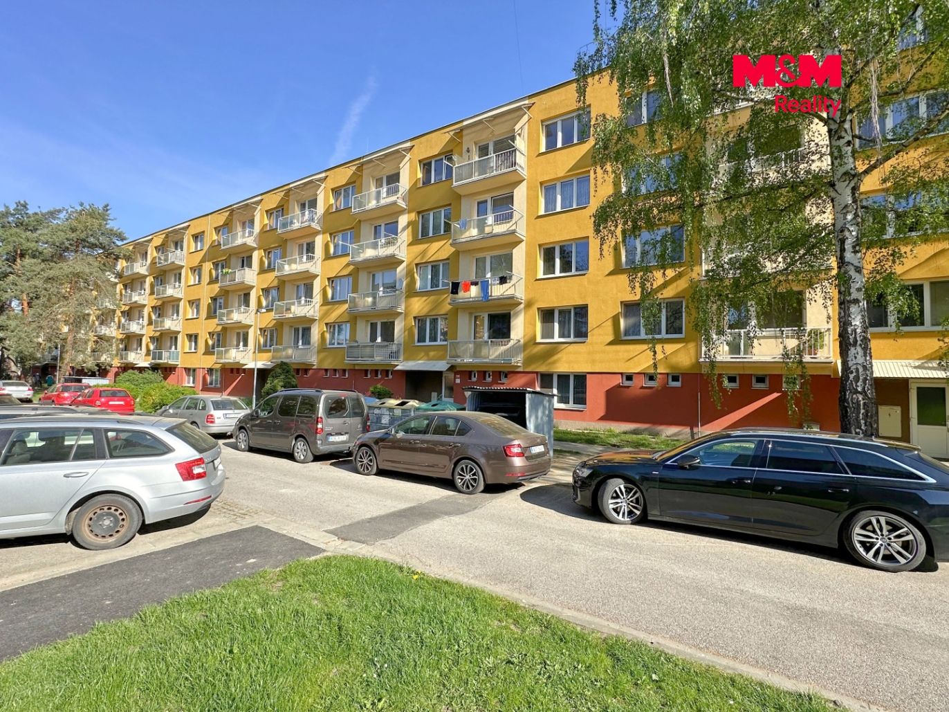 IMG_4908.jpg