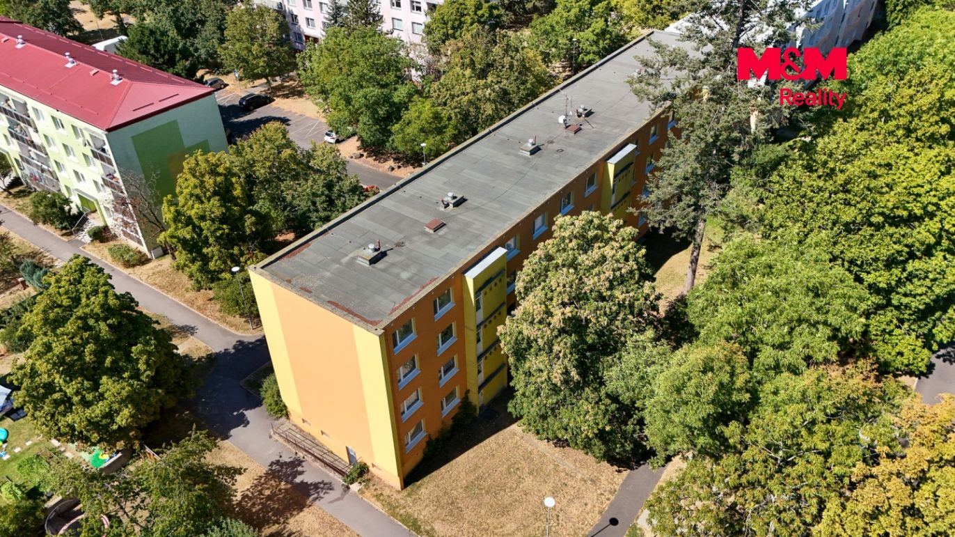 Dům