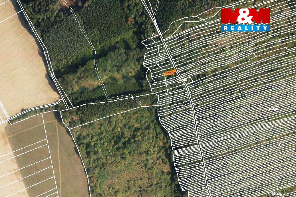mapka