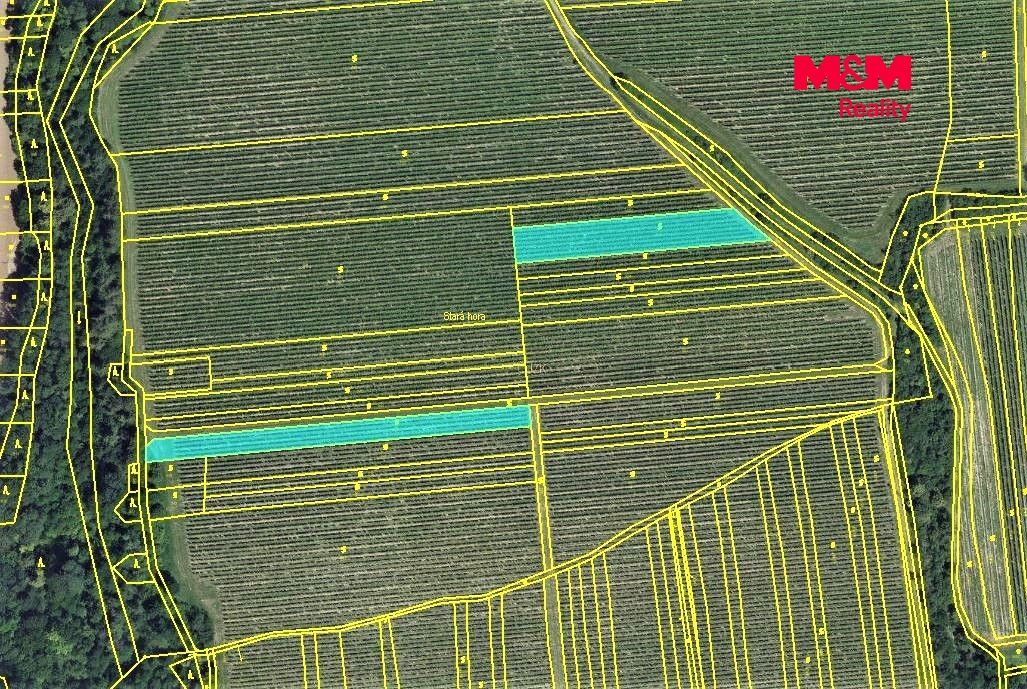 mapka