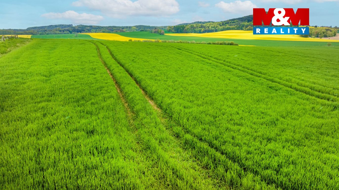 pohled na pozemek