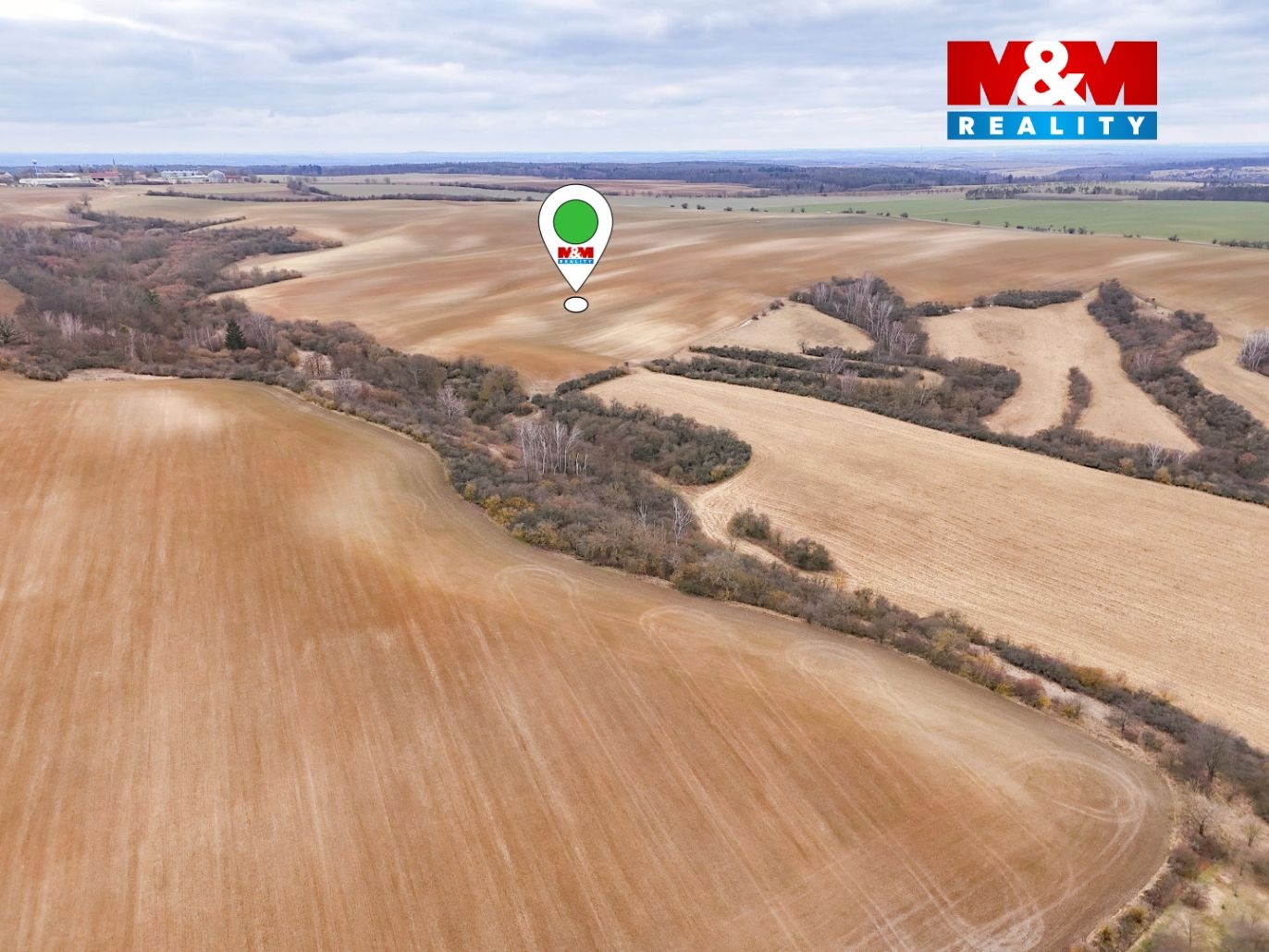 DJI_20260215115322_0004_D-v.jpg
