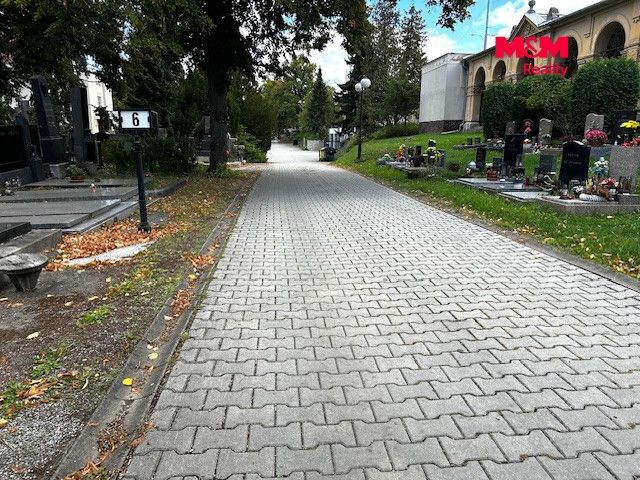 foto 19.jpg
