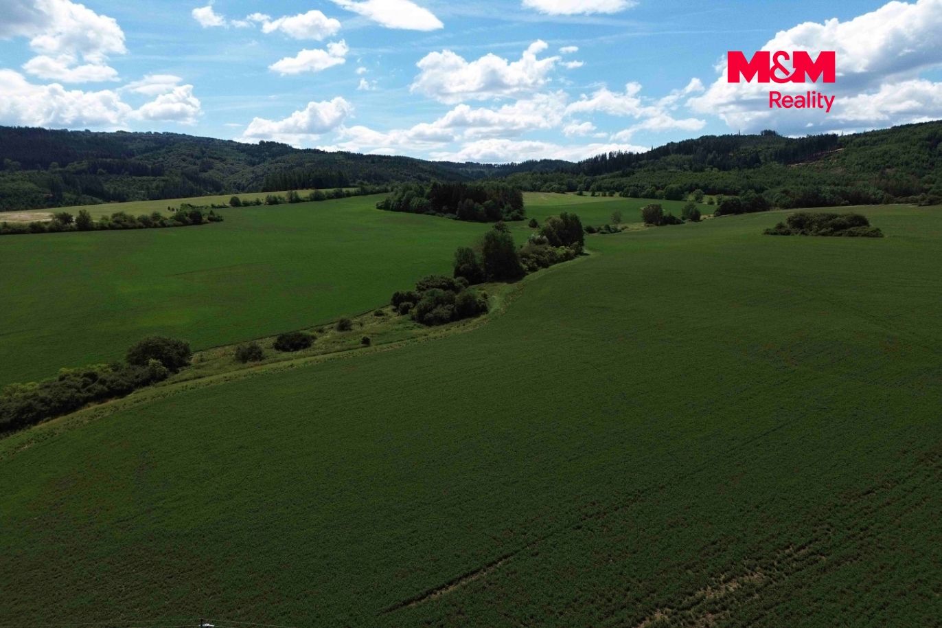 DJI_0333.jpg