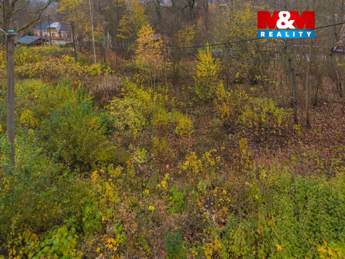DJI_20251108094032_0137_D.jpg