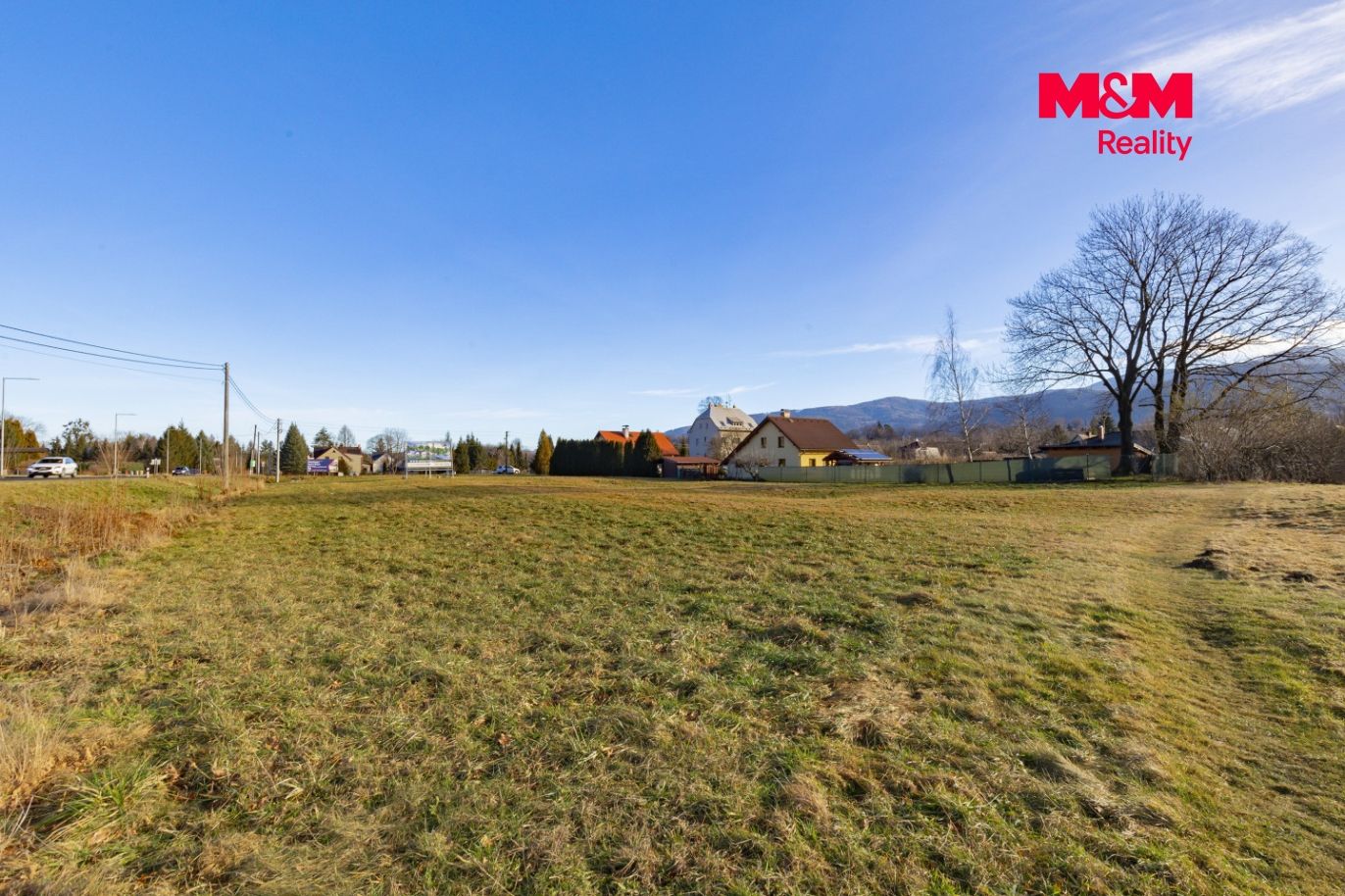 GH6A6585-Edit kopie.jpg