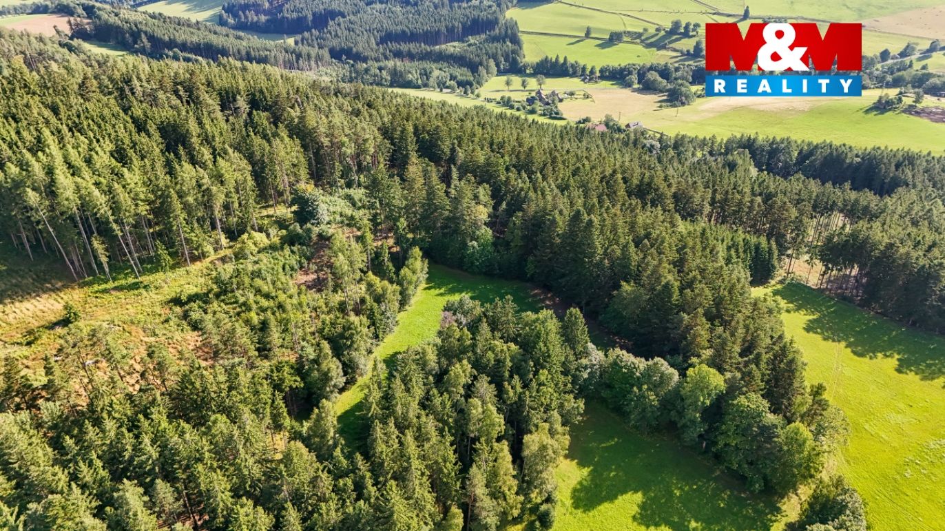 DJI_20250729174538_0183_D.jpg