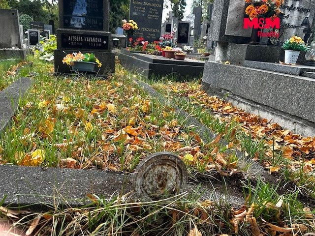 foto 12.jpg