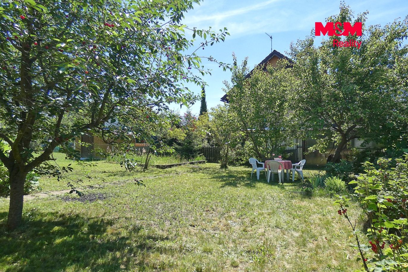 P1200105.jpg