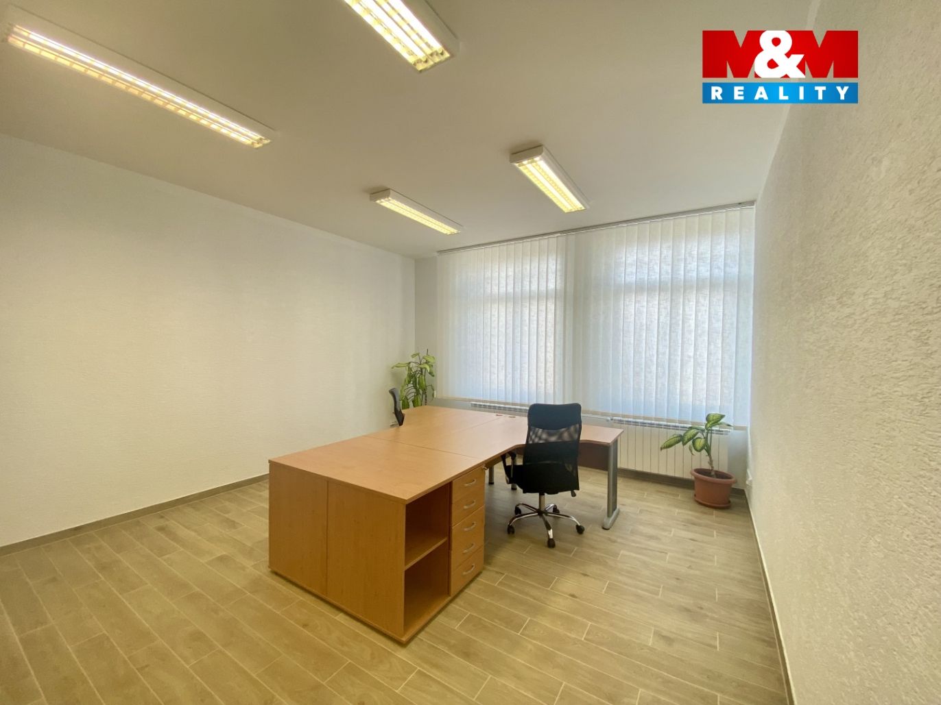 image_C92D1EAE-2EEC-402B-BE98-CA90F1B8DC41_1741685732.jpeg