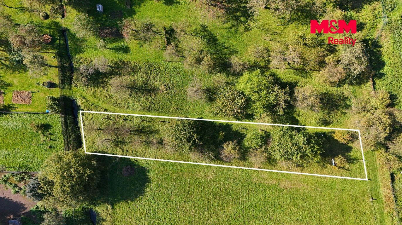 DJI_20251003124651_0558_D.jpeg