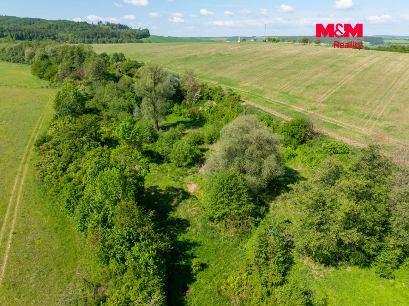 DJI_0953.jpg