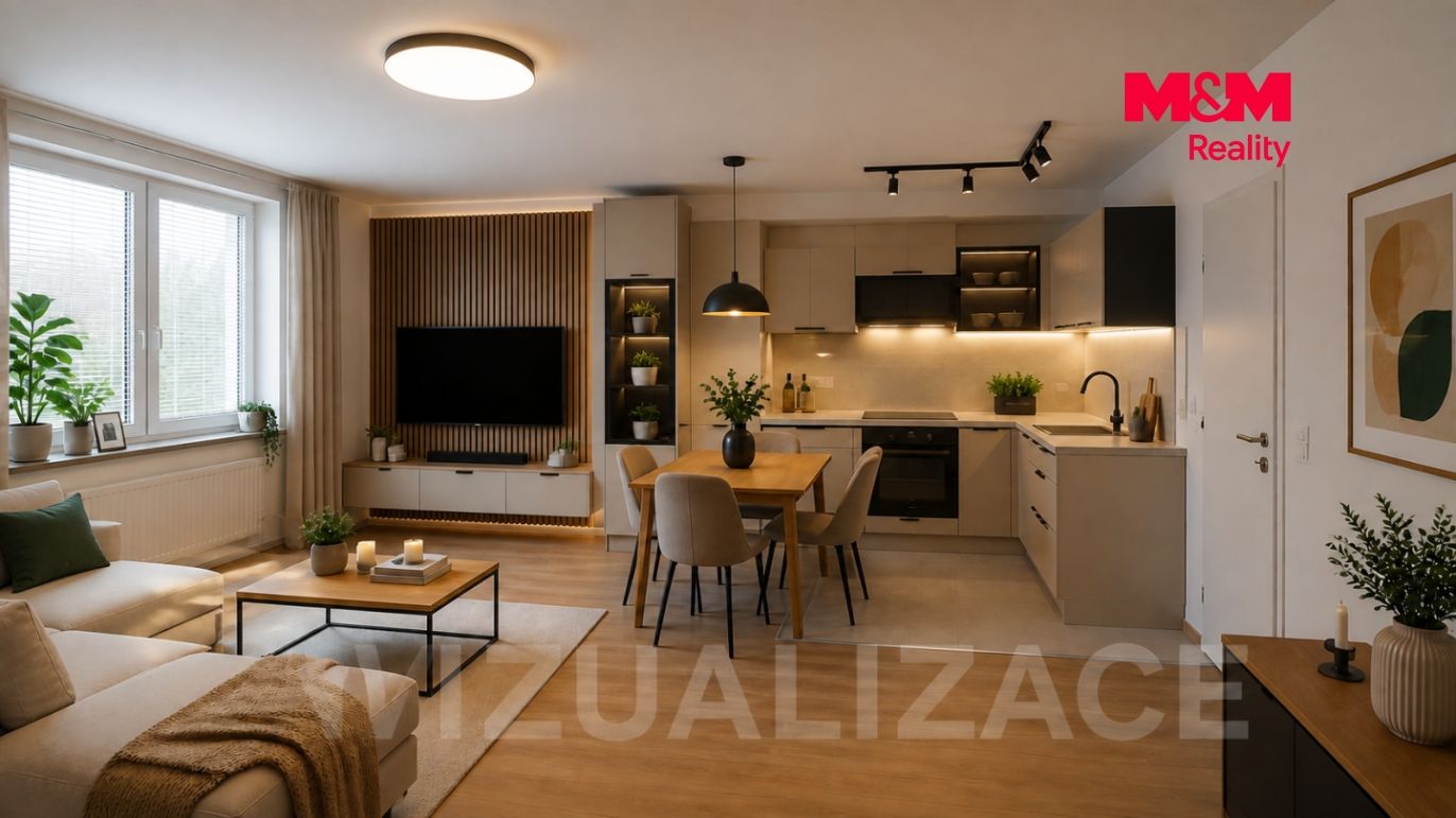 Vizualizace