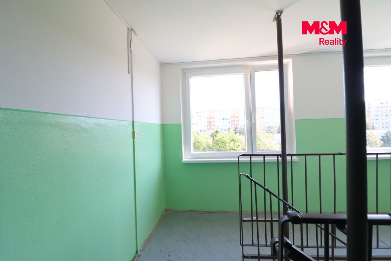 IMG_7369.jpg