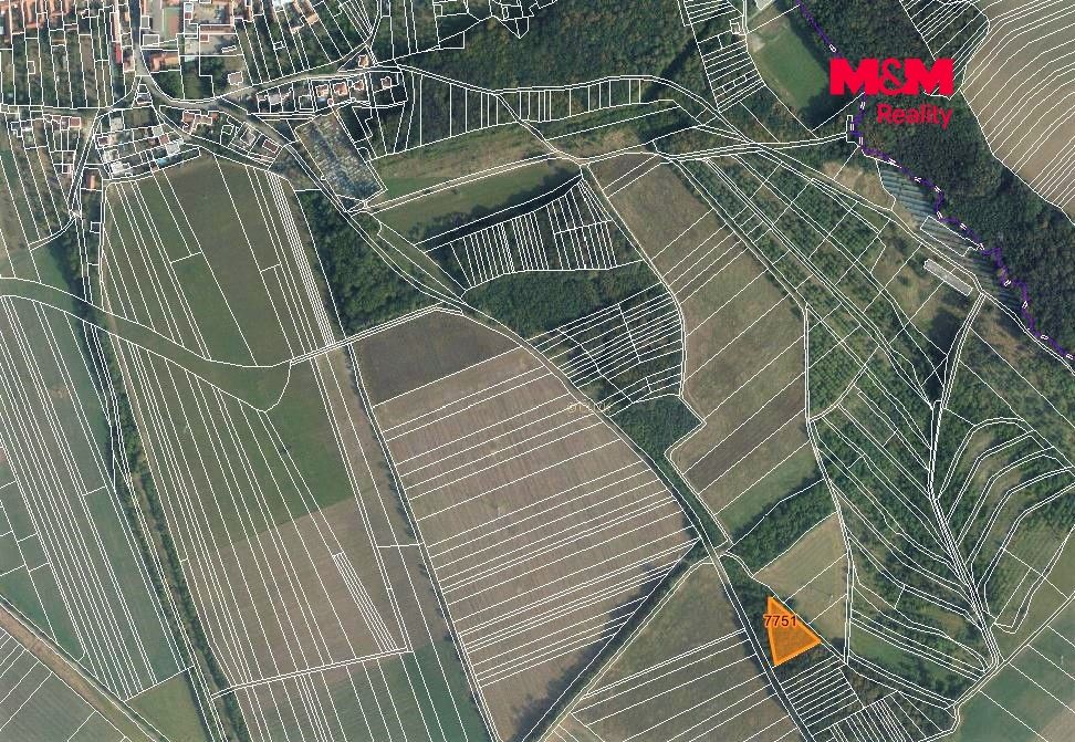 mapka