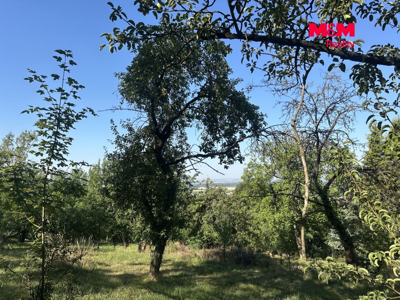 IMG_6287.jpeg