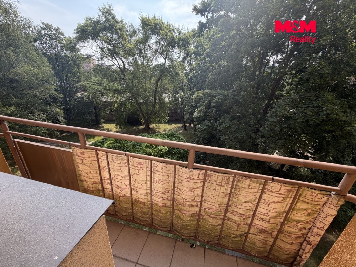 IMG_0881.jpeg