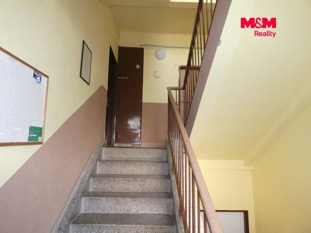 P1130427.jpg