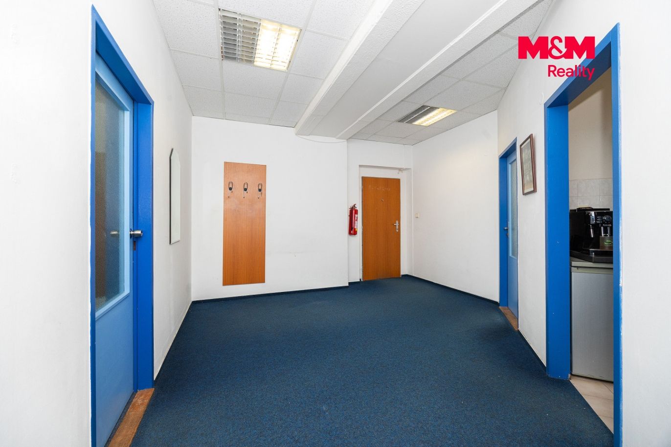 IMG_5408.jpg