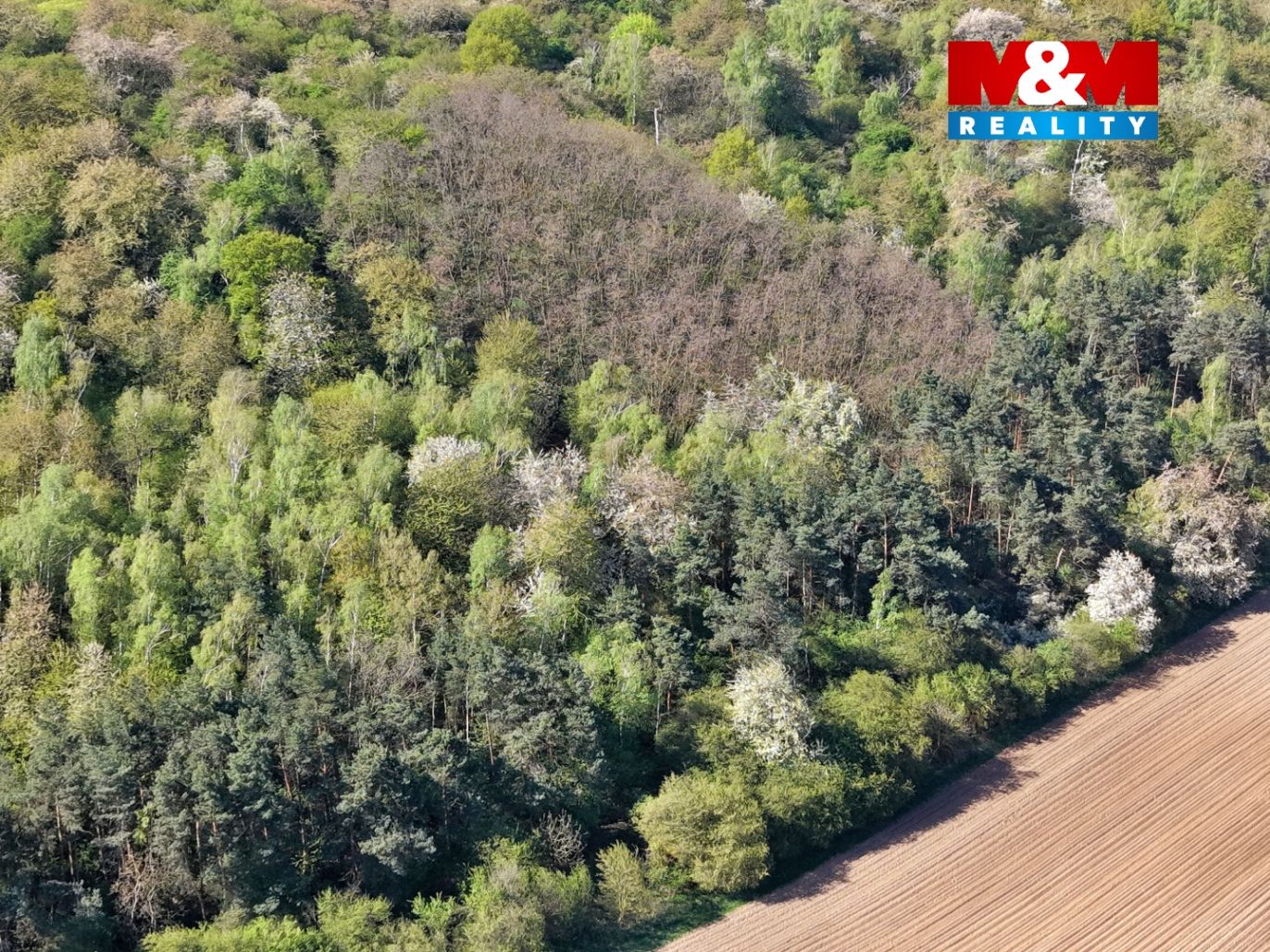 DJI_20260424095754_0018_D.jpg