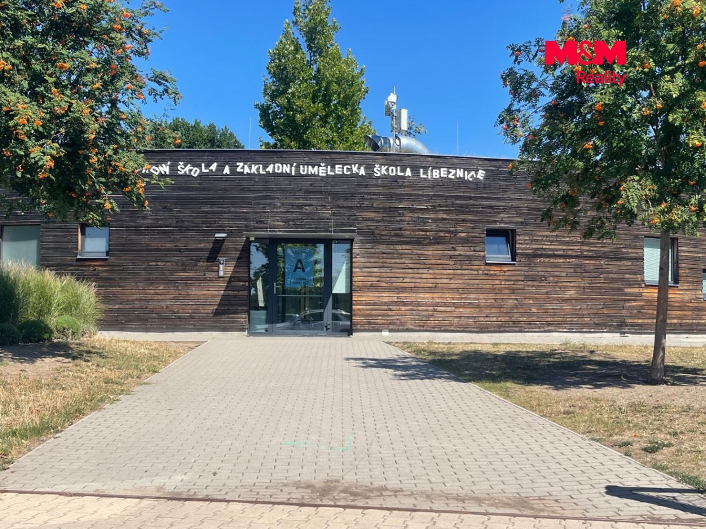 škola