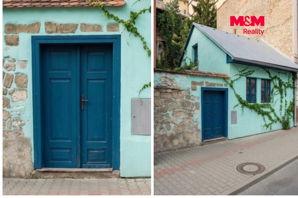AI dům s detailem vstupních dveří.jpg