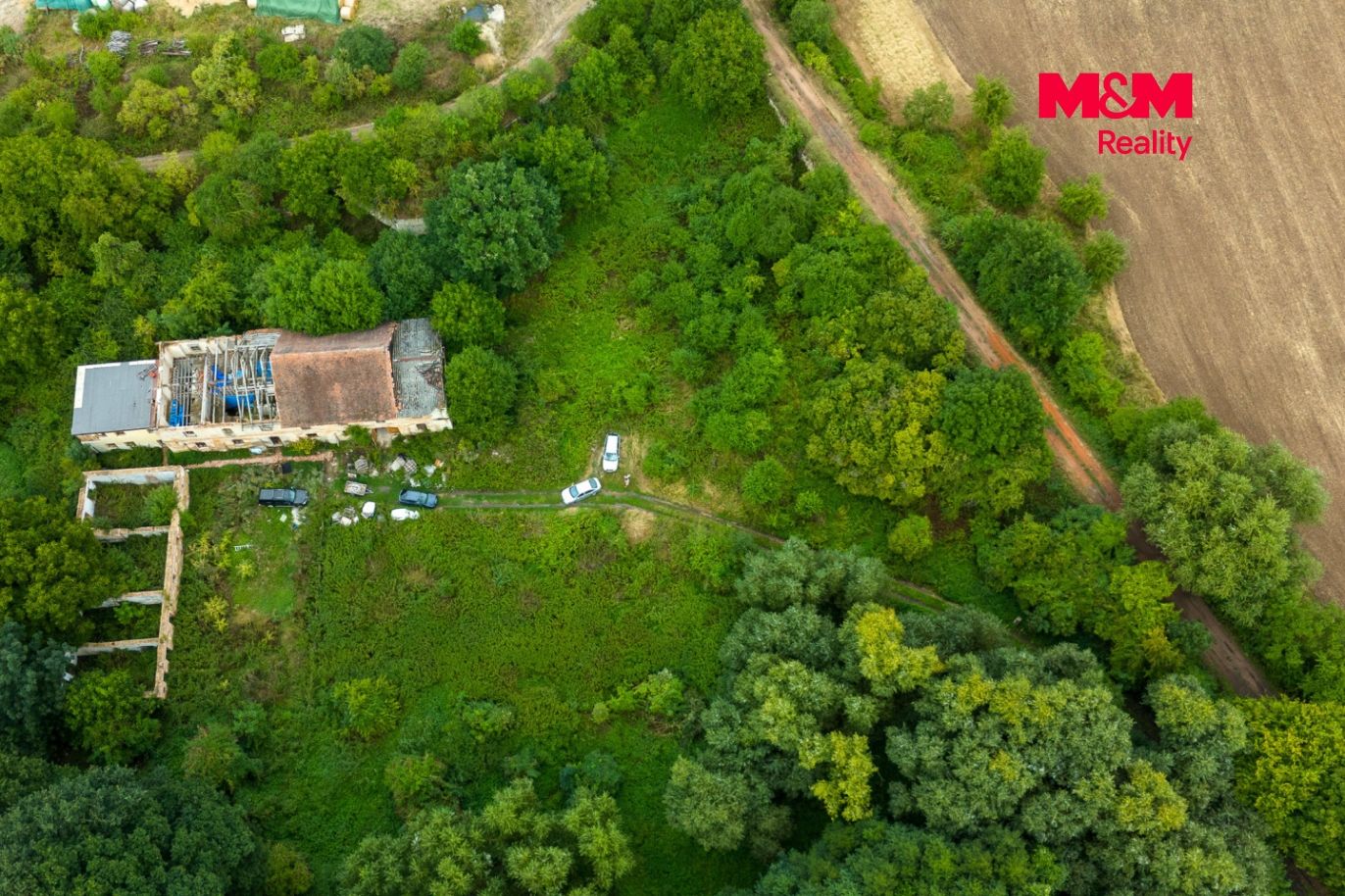 DJI_20260819133402_0049_D.jpg