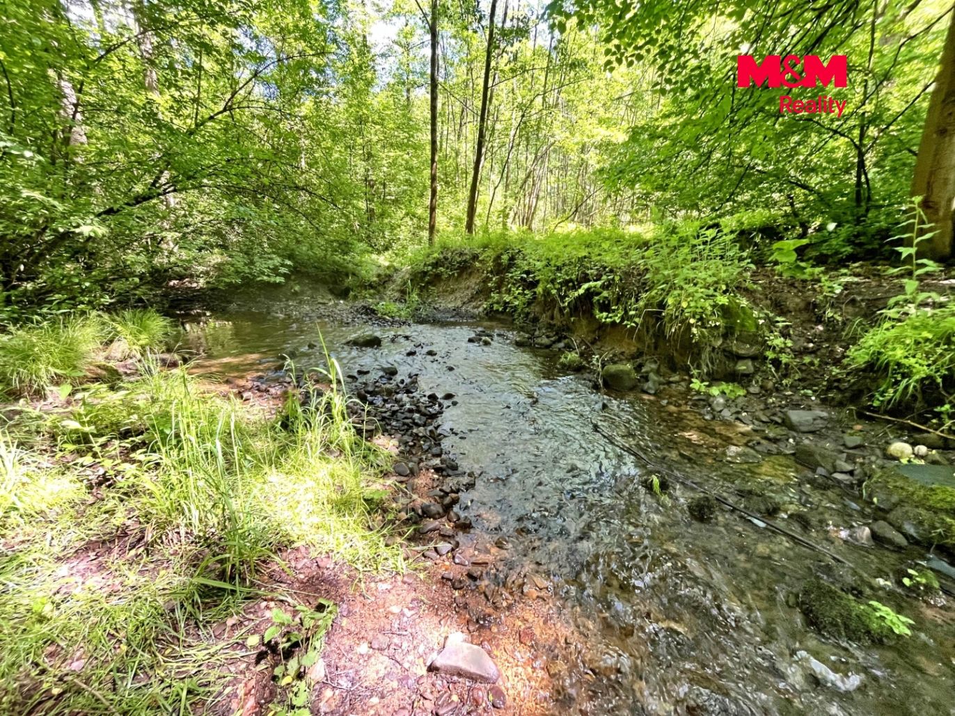 Skalický potok na hranici pozemku