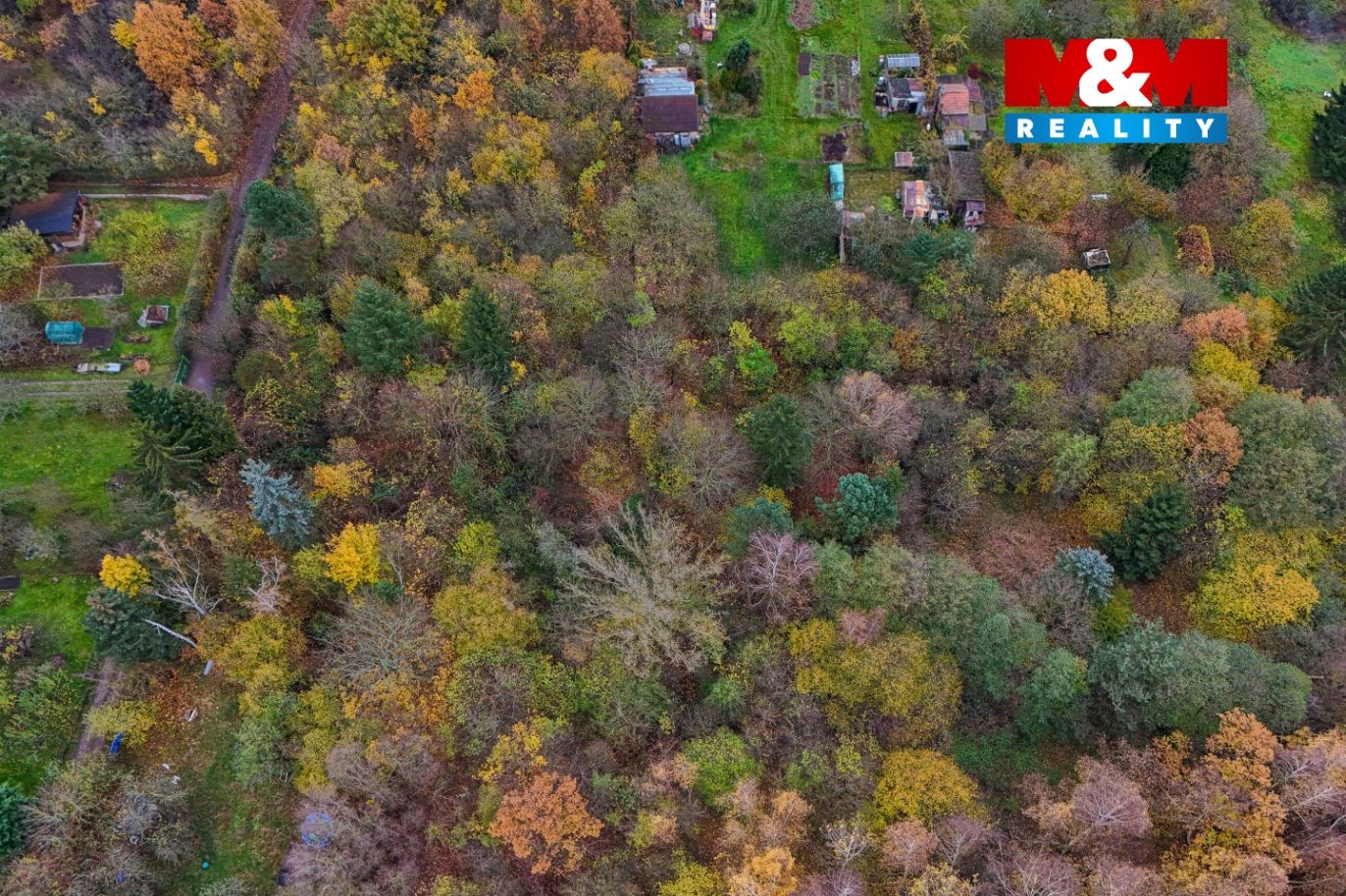 DJI_20241114095357_0884_D.jpg