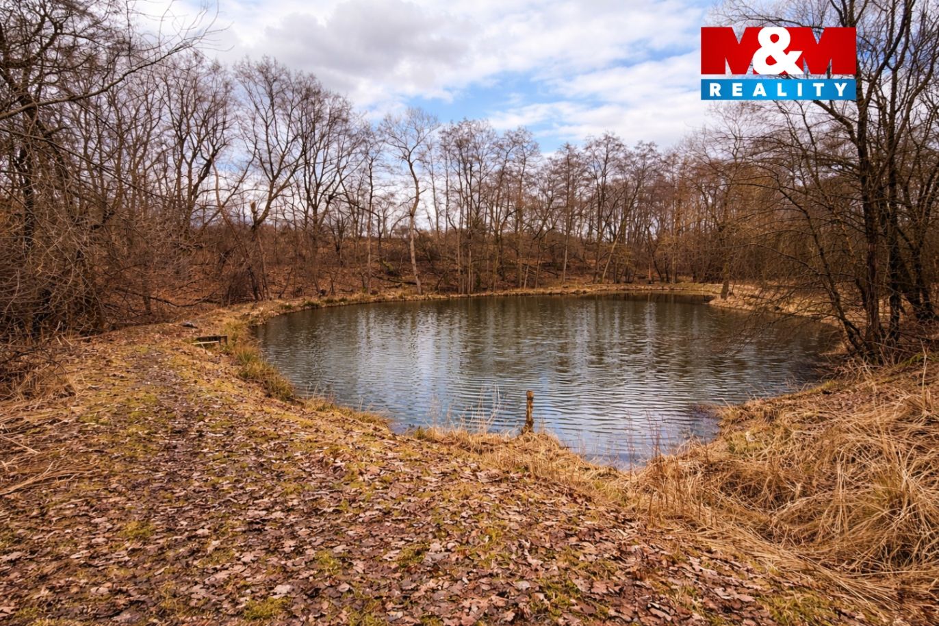 image_28564EF7-34FD-4324-BE64-BD39C87524E1_1771093203.png