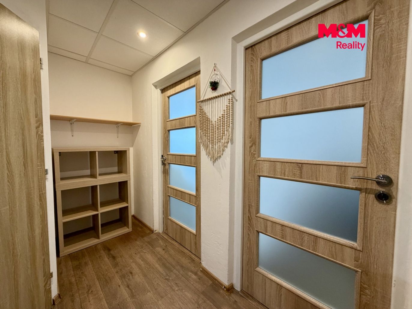 IMG_1561.jpeg