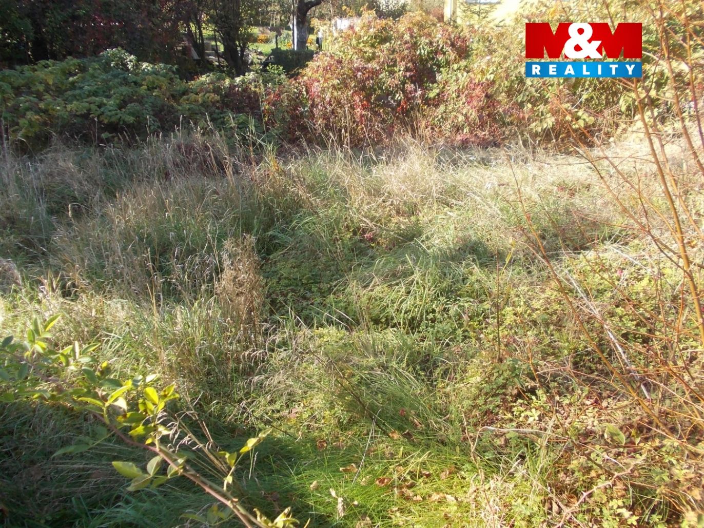 DSCN7568.jpg