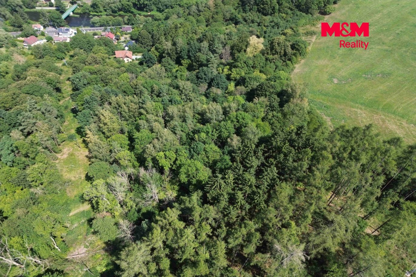 DJI_0387.jpg