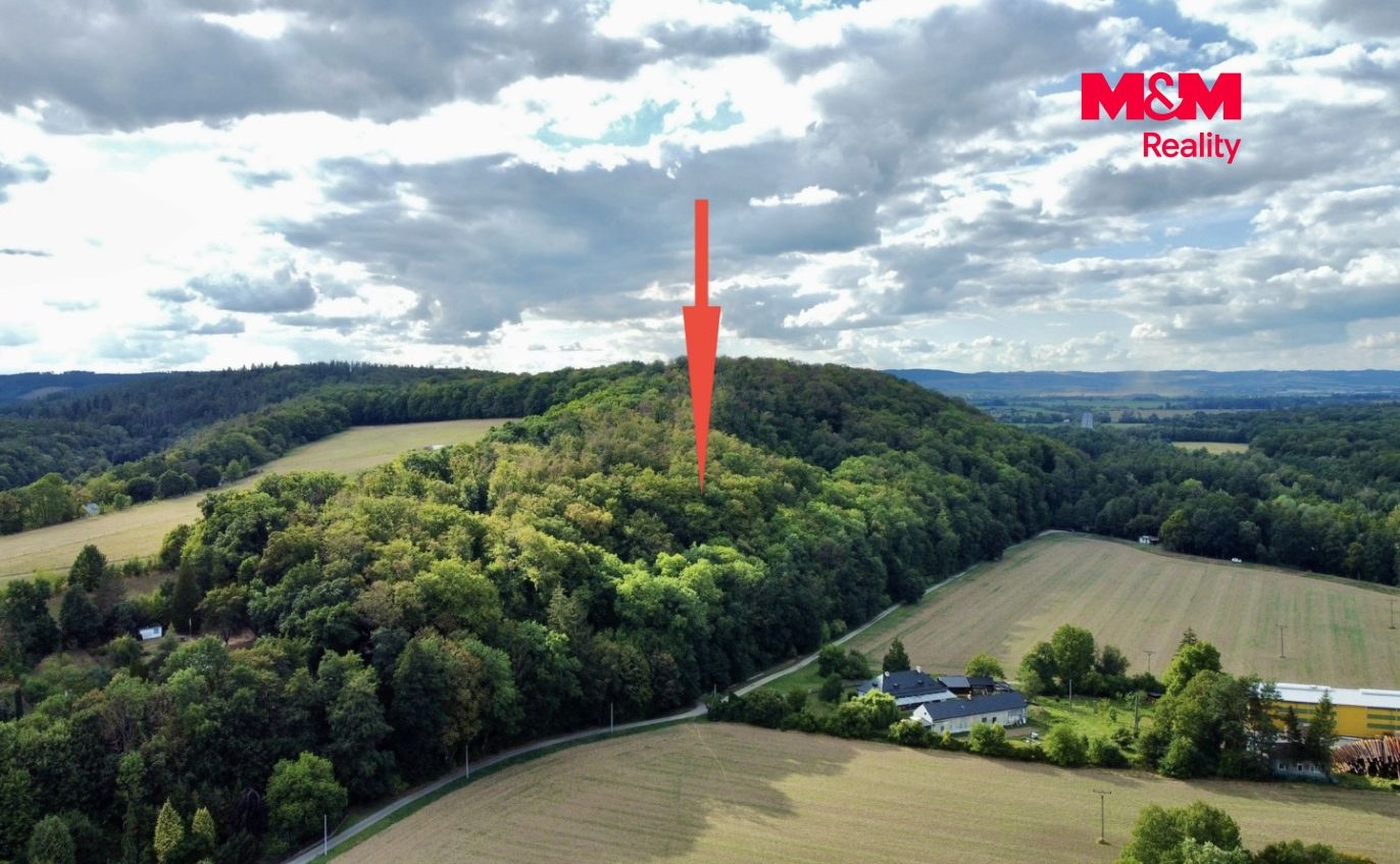 dji_fly_20260901_164124_458_1788273696757_photo_optimized.jpeg