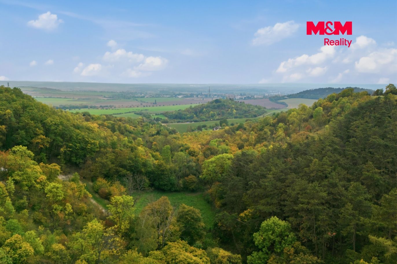 Realitni╠ü fotografie - Z╠îitenice - Frantis╠îek Hora╠ük - 18.jpg