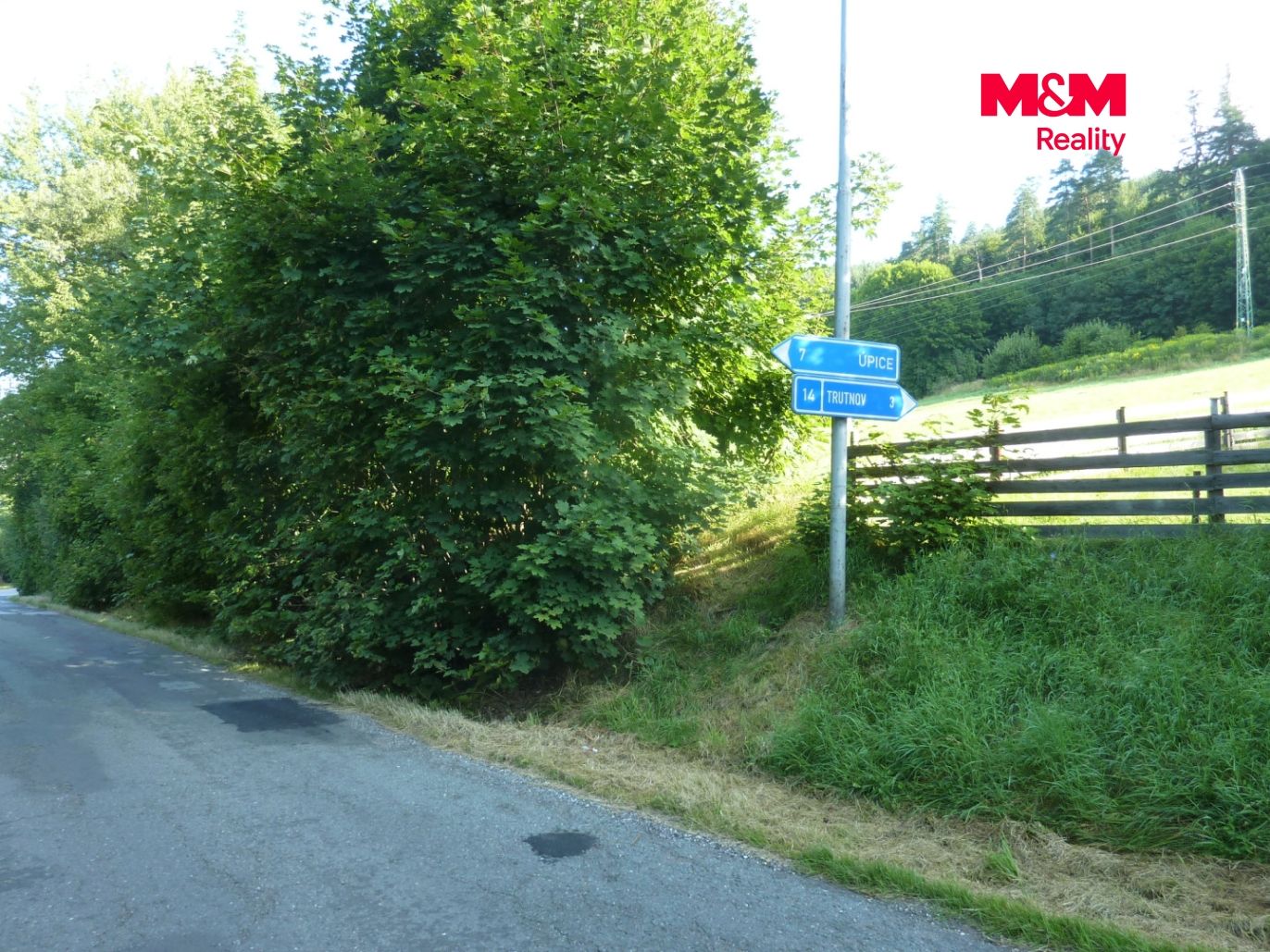 P1550536.jpg