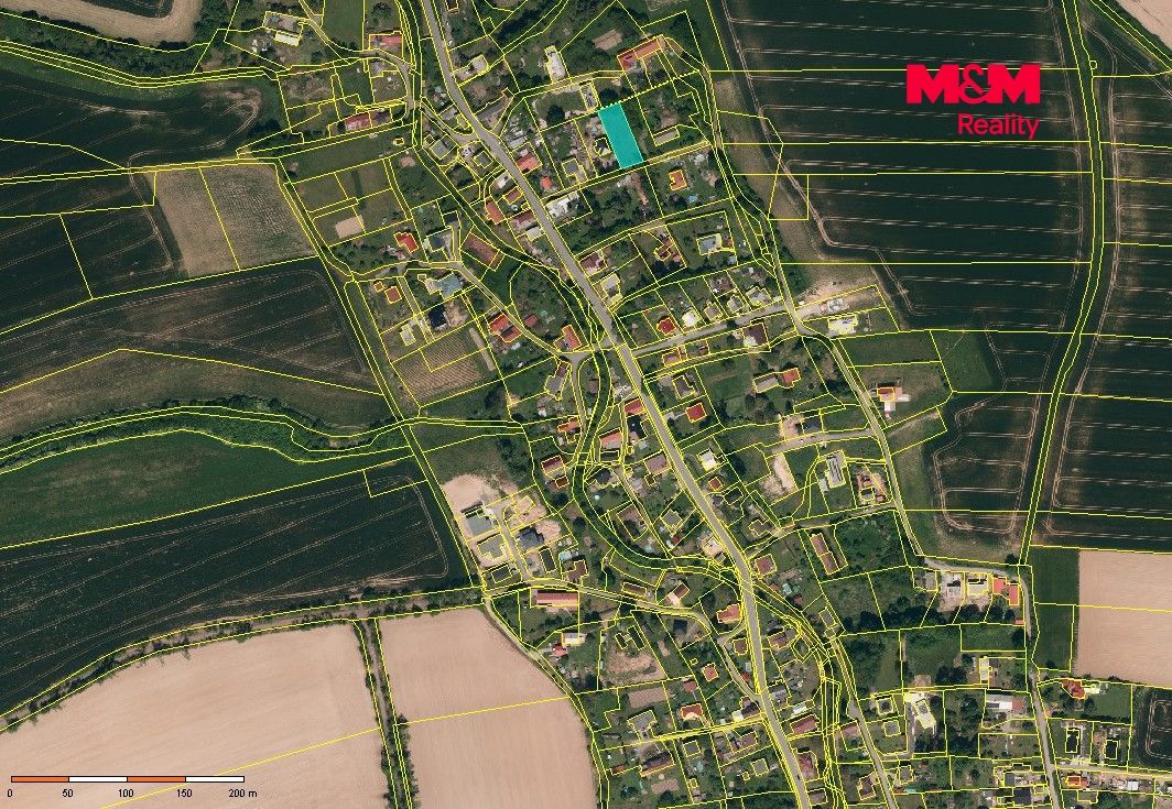 KM orto zoom.jpg