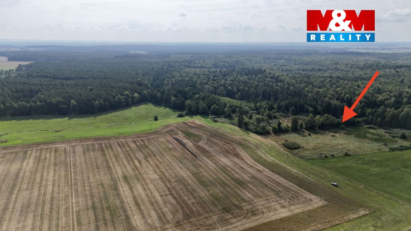 dji_fly_20250817_093842_0012_1755416431557_photo.jpg