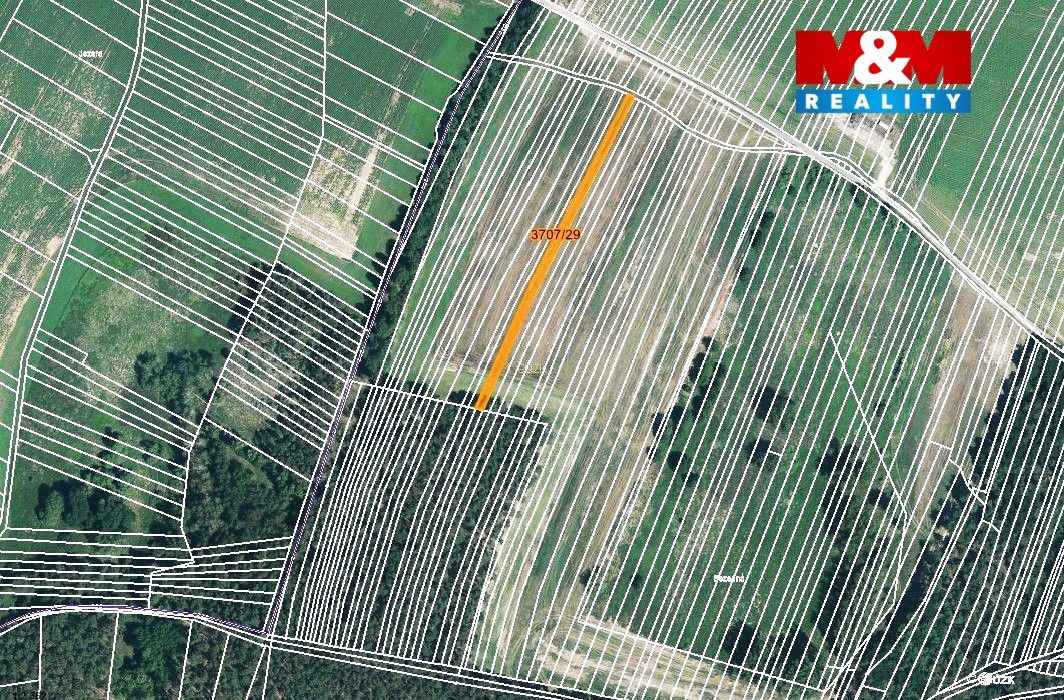 mapka