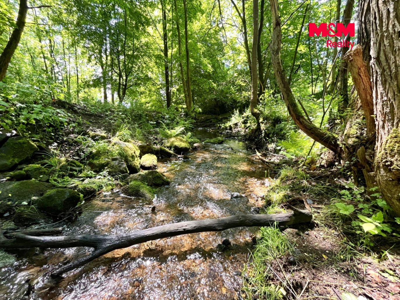 Skalický potok na hranici pozemku