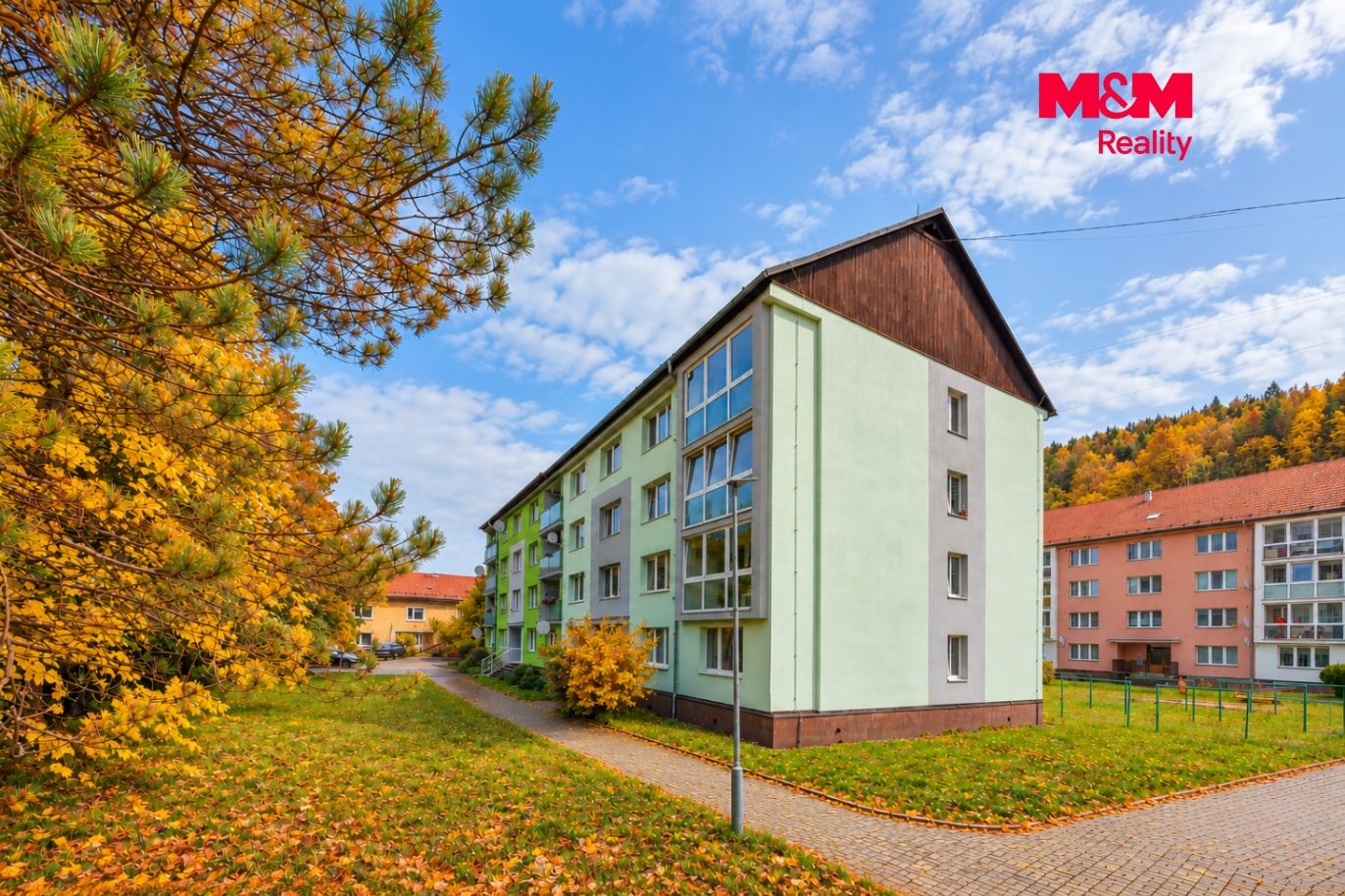 dům