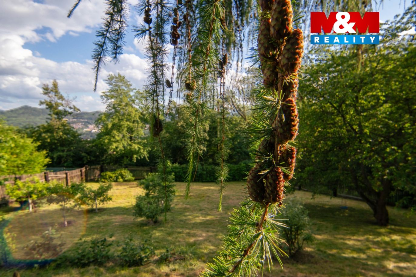 DSC08213-HDR.jpg