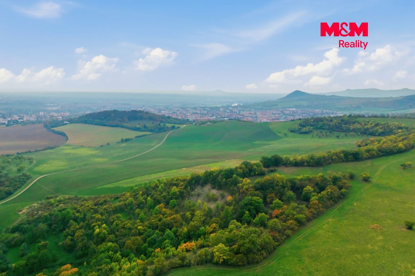Realitni╠ü fotografie - Z╠îitenice - Frantis╠îek Hora╠ük - 19.jpg