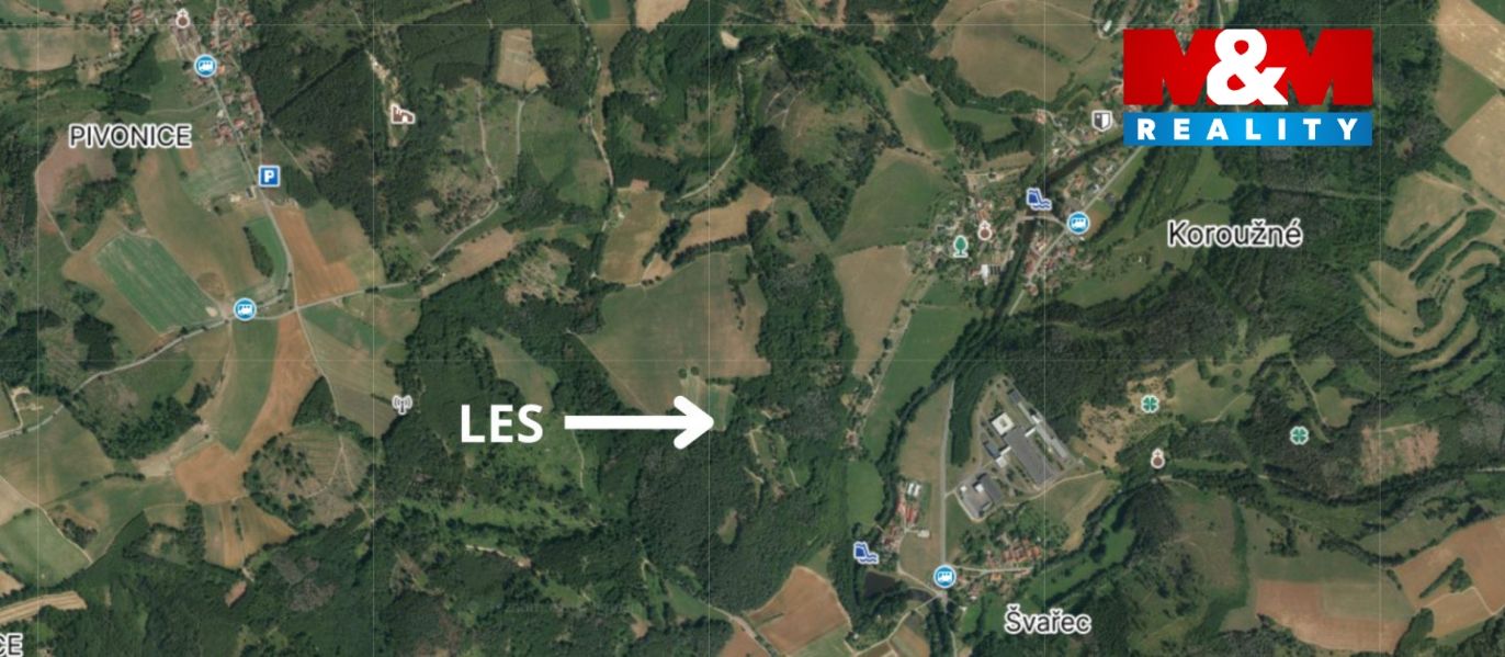 LES (1).jpg