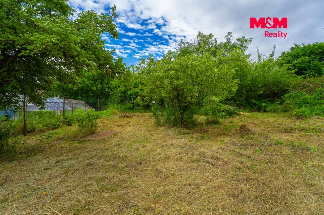 jano30.jpg