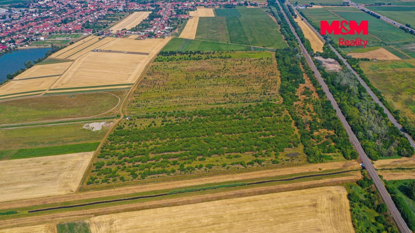 DJI_0918.jpg