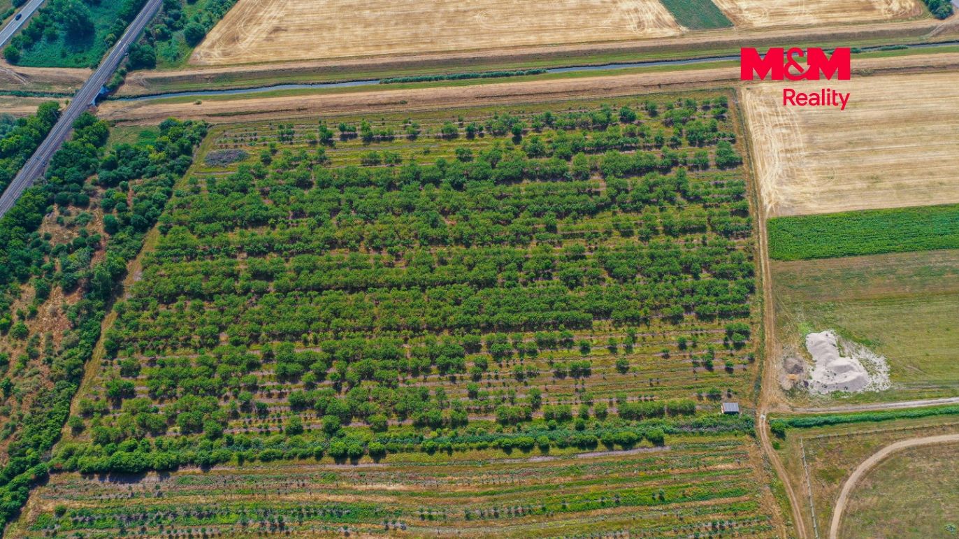 DJI_0911.jpg