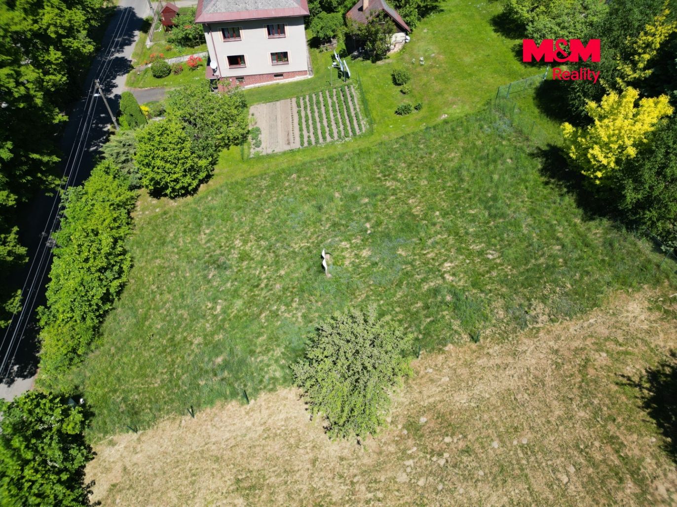 DJI_0197.jpg