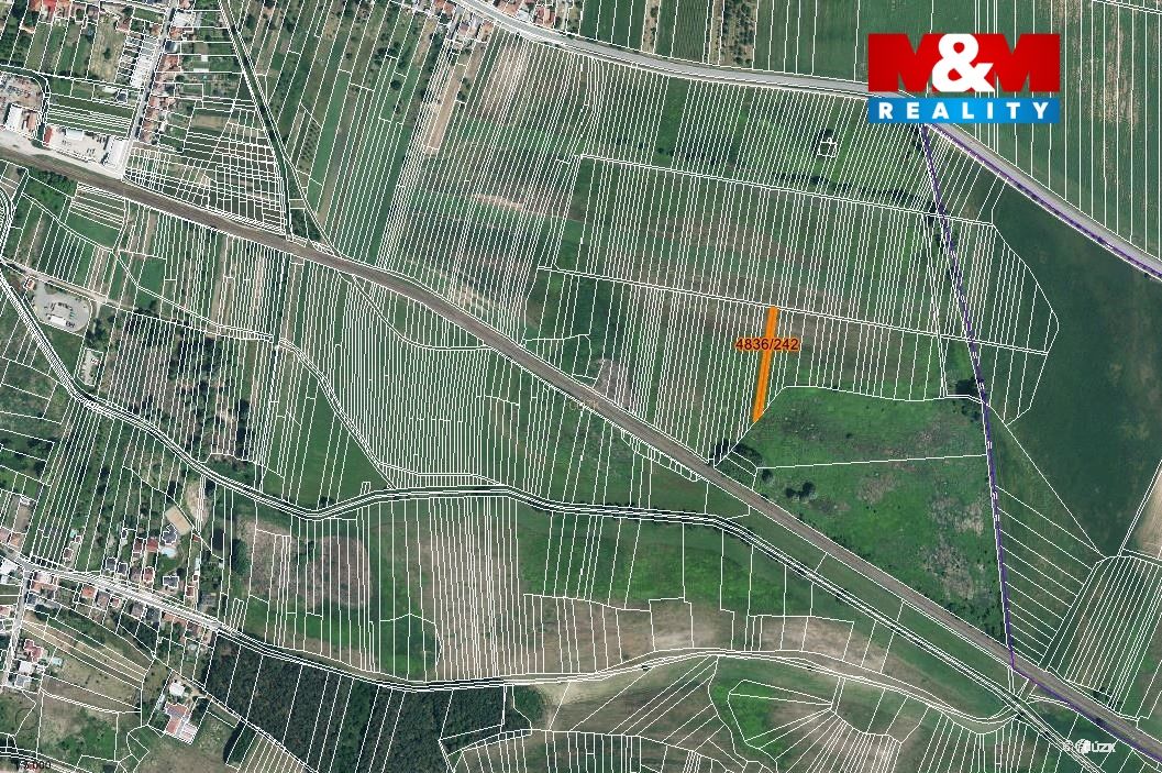 mapka